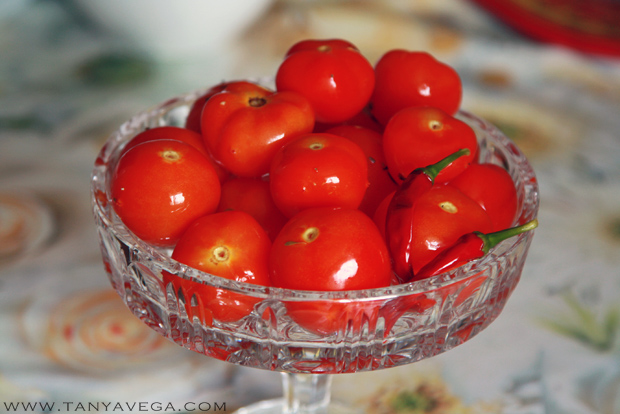 Tomatoes-marinovannye-pomidory-Tanya-Vega-9.JPG