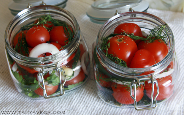 Marinated-pickled-tomatoes-marinovannye-pomidory-Tanya-Vega-6.jpg