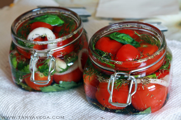 Marinated-pickled-tomatoes-marinovannye-pomidory-Tanya-Vega-7.JPG